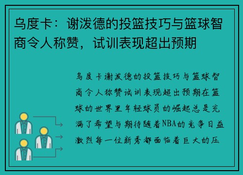 乌度卡：谢泼德的投篮技巧与篮球智商令人称赞，试训表现超出预期