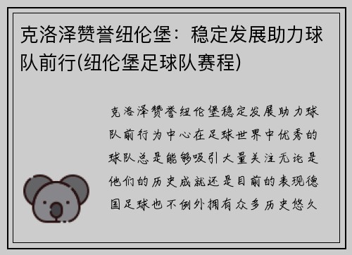 克洛泽赞誉纽伦堡：稳定发展助力球队前行(纽伦堡足球队赛程)