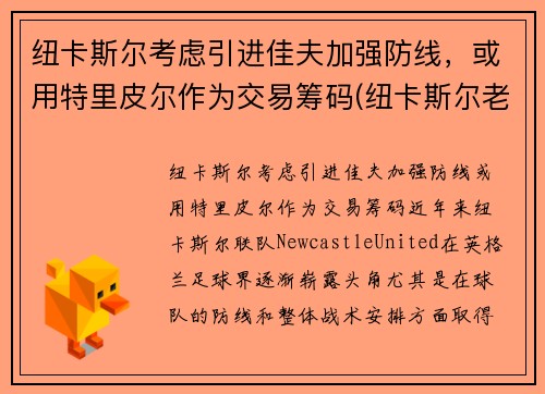 纽卡斯尔考虑引进佳夫加强防线，或用特里皮尔作为交易筹码(纽卡斯尔老板到底身价多少)