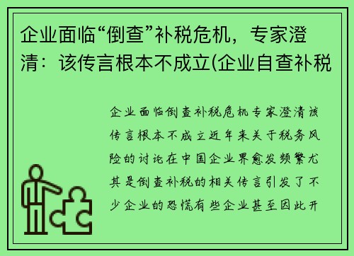 企业面临“倒查”补税危机，专家澄清：该传言根本不成立(企业自查补税)